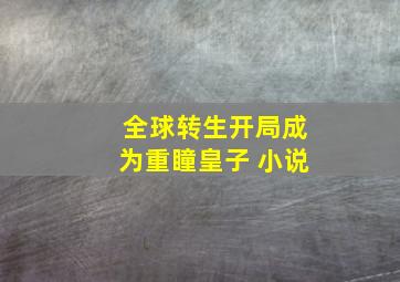 全球转生开局成为重瞳皇子 小说